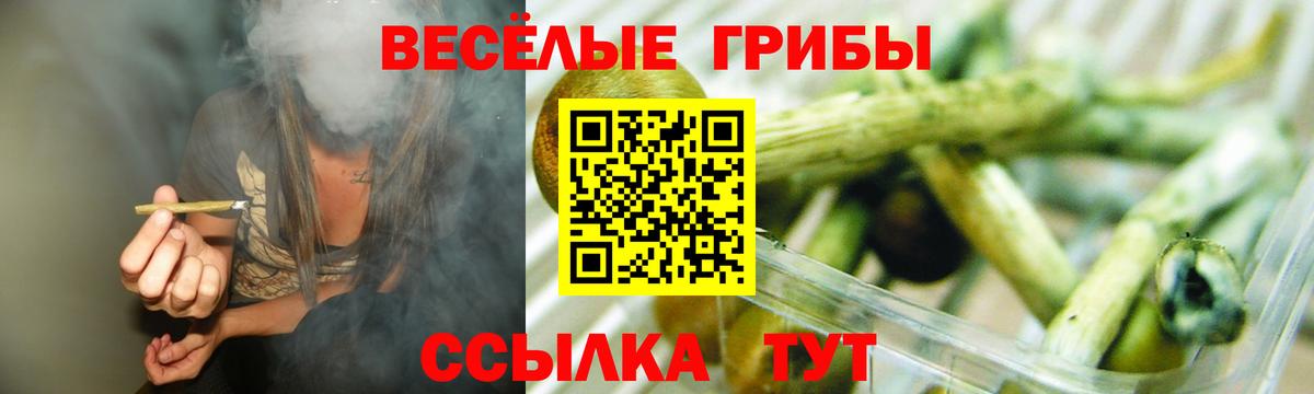 Волжский  Псилоцибиновые грибы мицелий  Вход с VPN 