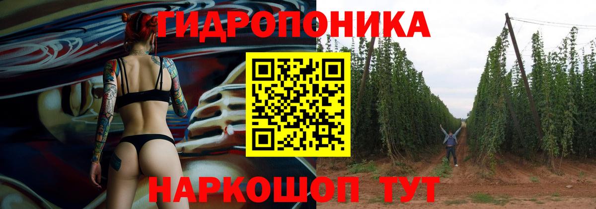 Канабис OG Kush  Марихуана SATIVA & INDICA  Конопля план  Конопля план  Вход с VPN  Волжский 